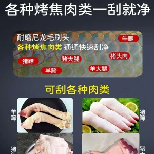肘子驴蹄毛棍清洗机 羊腿牛头毛辊清洗机器 黄芩毛刷清洗去泥机 泽信