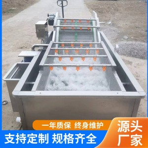 多功能气泡清洗机 生菜芹菜荠菜清洗设备 海带紫菜杏鲍菇清洗机器