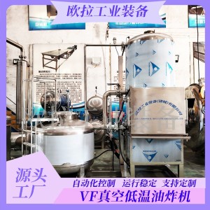 大型小龙虾真空油炸 草莓低温脱水设备 果蔬脆低温油炸设备