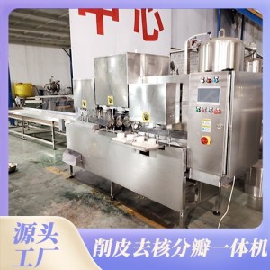 杏子深加工设备 果脯加工全自动机器 休闲食品自动化生产线