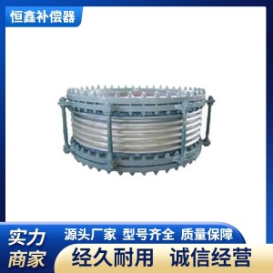 恒鑫 用于石油 化工等行业 规格齐全 可定制 不锈钢铰链补偿器