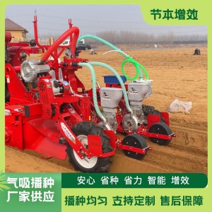 大一 厂家出售 芹菜娃娃菜播种机 一垄两行定制款 株距行距可调