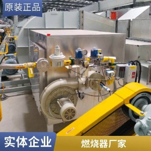 铝灰危废回转窑燃烧器 日处理20吨二次铝渣煅烧系统 天然气燃烧嘴